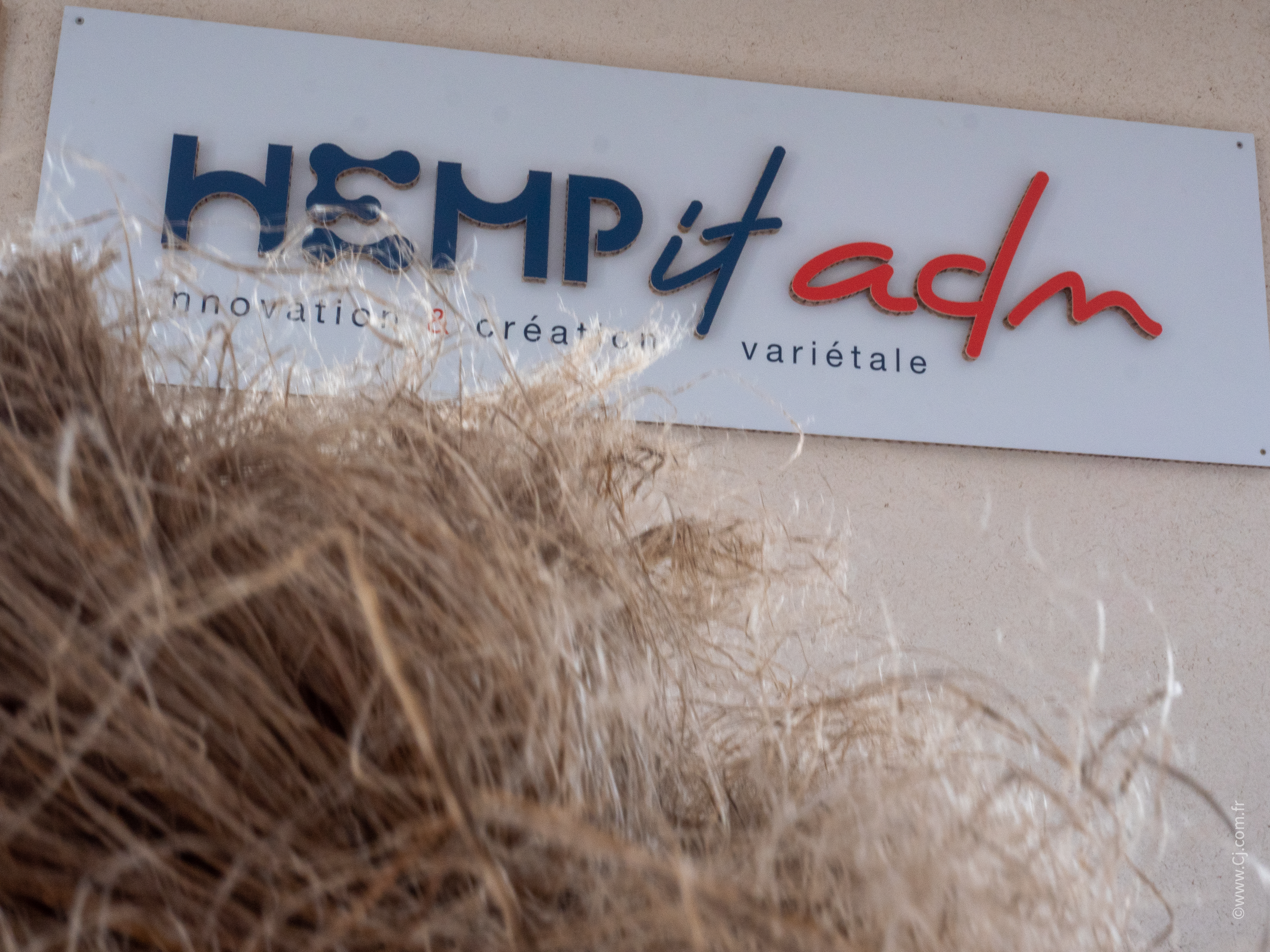 HEMP-it_inauguration Nouvelle Usine Chanvre_02.07.21_-196