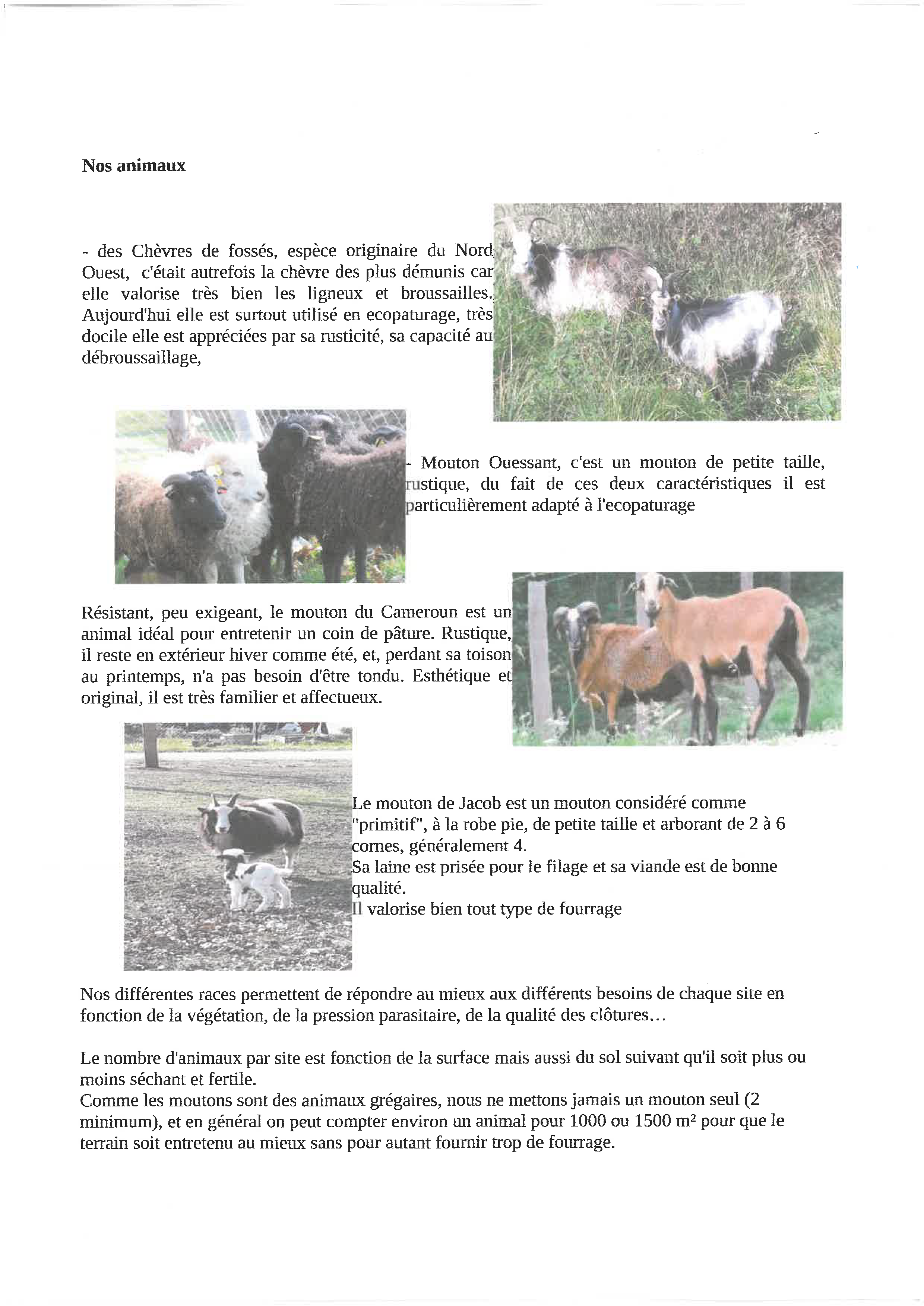 Eco_paturage